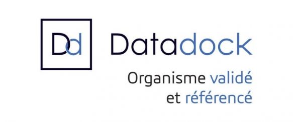 Logo DataDock